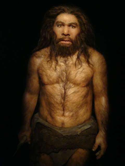 Homme neandertal